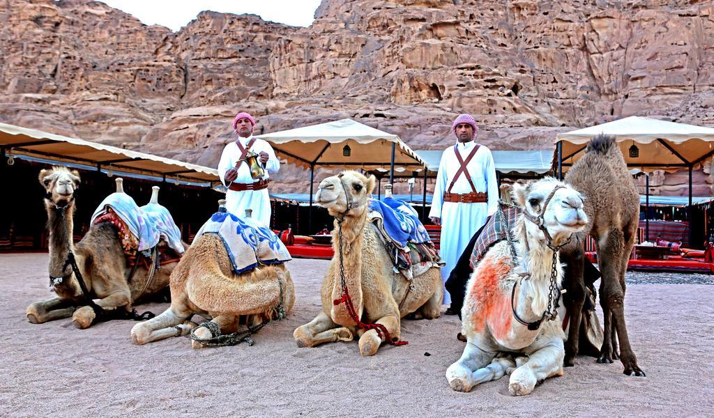 Sun City Camp Hotel Wadi Rum Ngoại thất bức ảnh